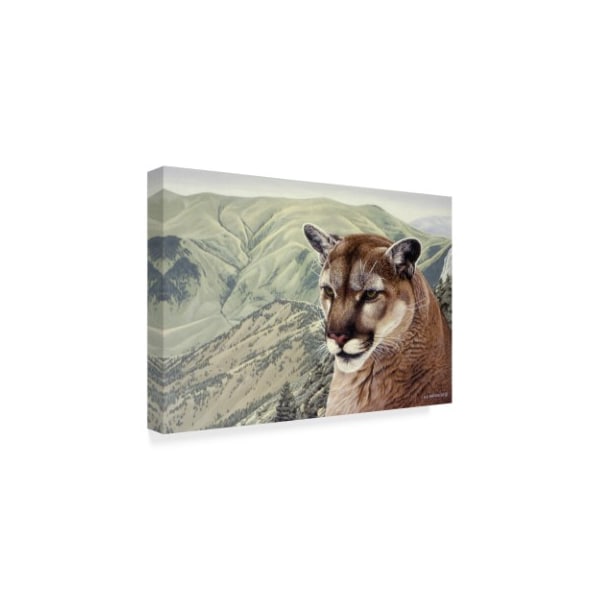 Ron Parker 'High Country Cougar' Canvas Art,22x32